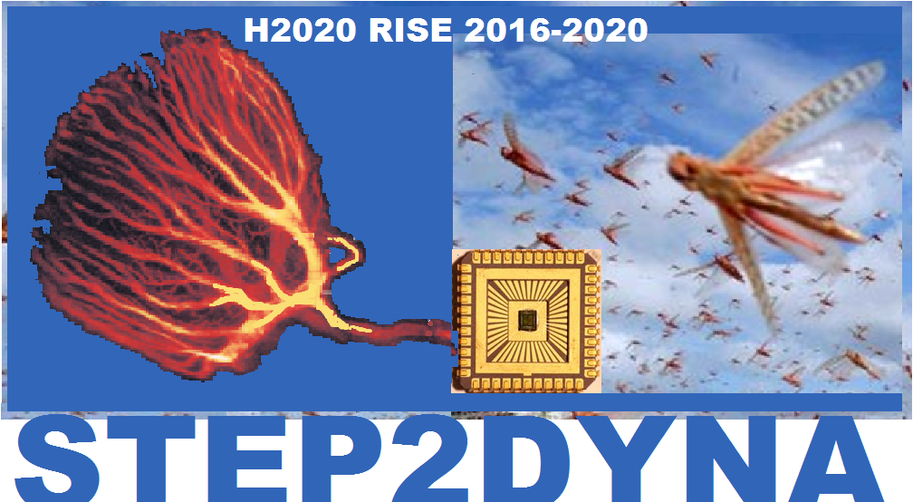 logo of EU horizon 2020 step2dyna project